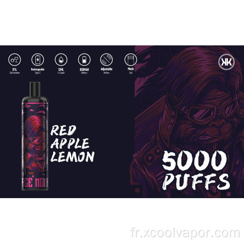 Xcoolvape la meilleure vente 5000 bouffées Vapes jetables HQD